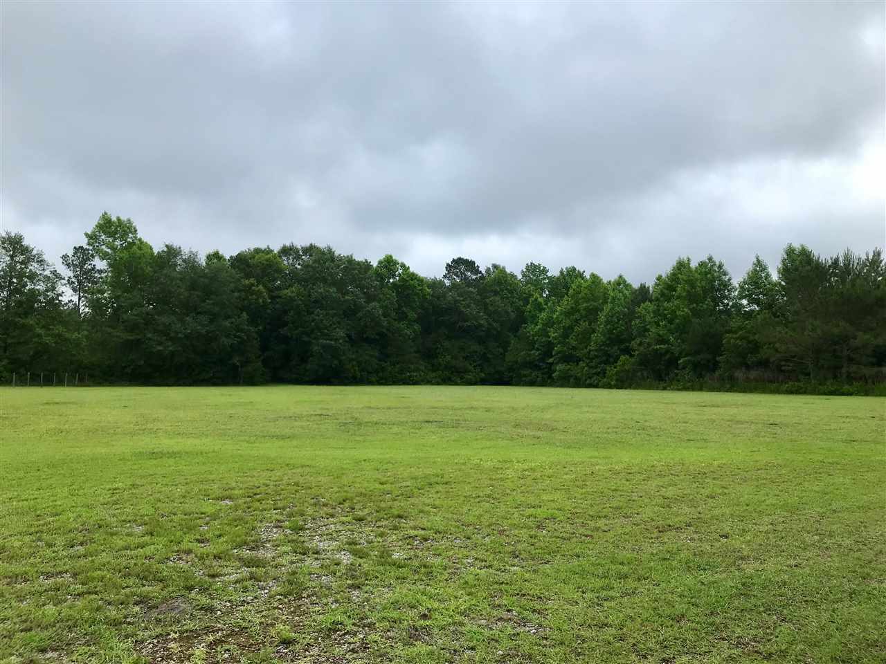 3483 Fries Bay Road Loris, SC 29569 - Photo 6 of 12
