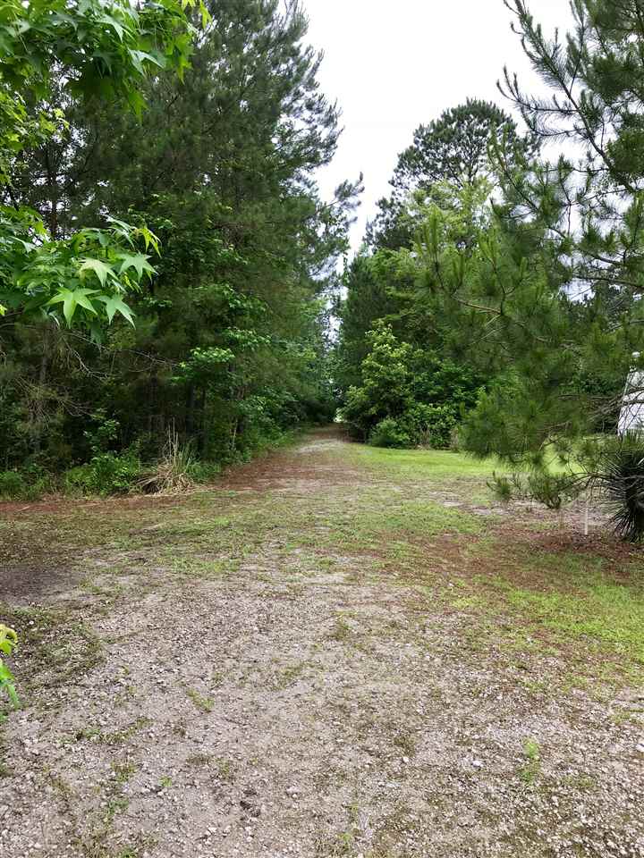 3483 Fries Bay Road Loris, SC 29569 - Photo 7 of 12