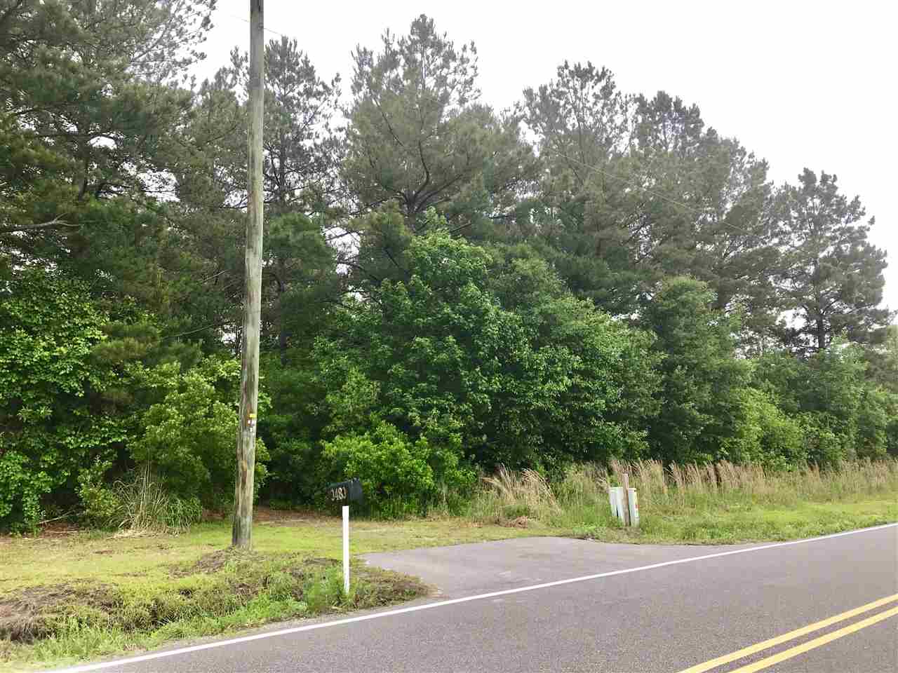 3483 Fries Bay Road Loris, SC 29569 - Photo 8 of 12