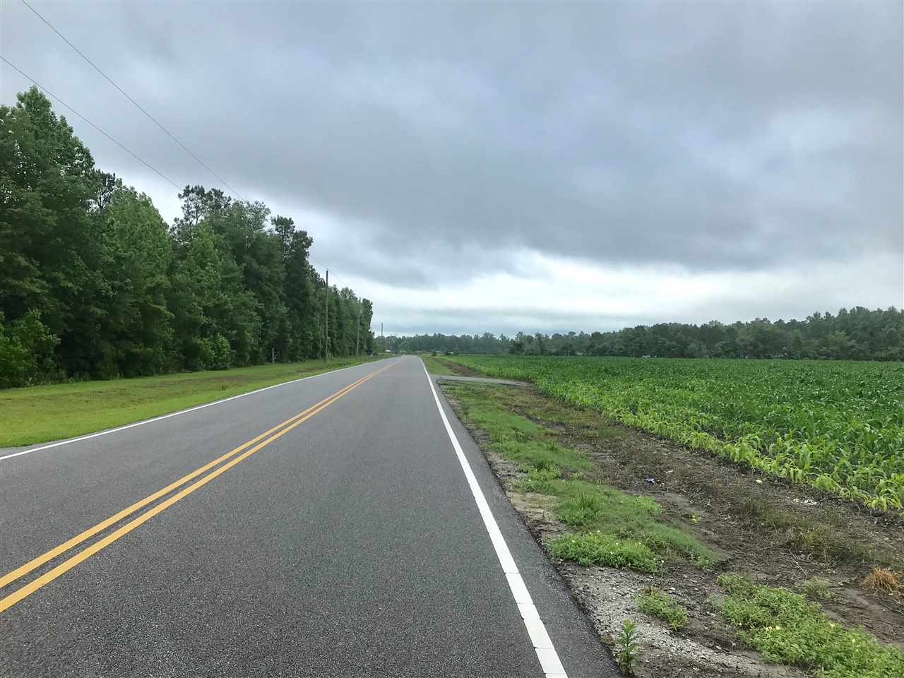 3483 Fries Bay Road Loris, SC 29569 - Photo 10 of 12