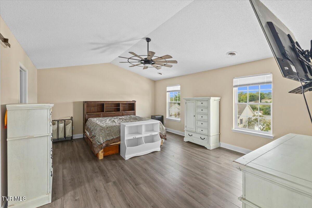 109 Violet Lane Bluff City, TN 37618 - Photo 30 of 41 19-128A3122