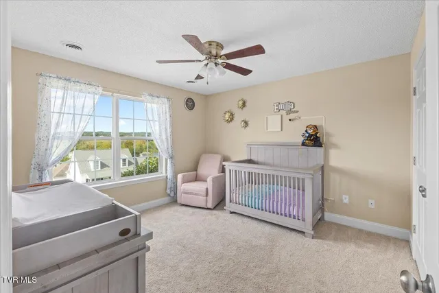 $337,900 | 109 Violet Lane, Bluff City, TN 37618