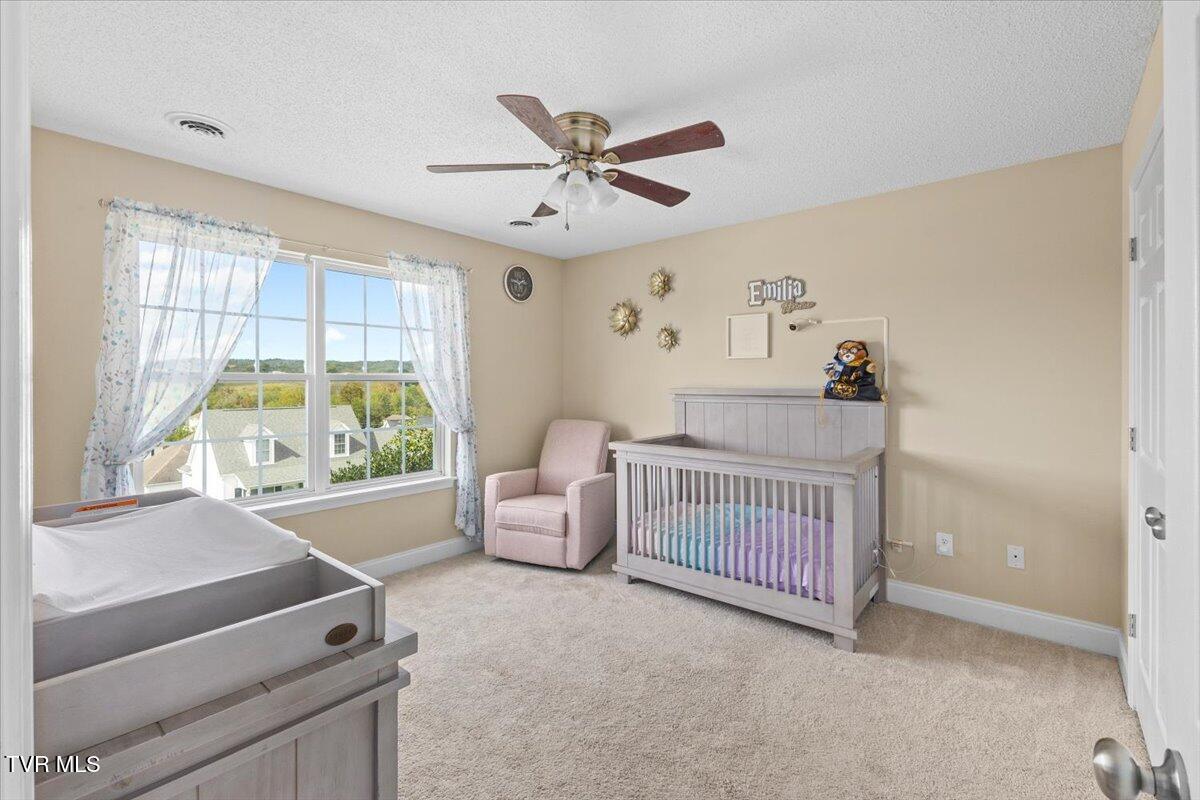 109 Violet Lane Bluff City, TN 37618 - Photo 37 of 41 27-128A3152