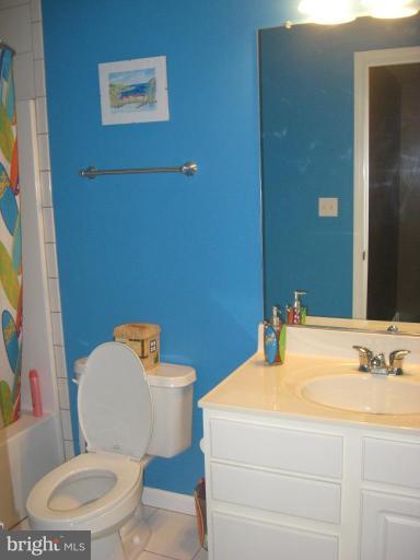 308 Miles Road Essex, MD 21221 - Photo 18 of 21 Bath #2