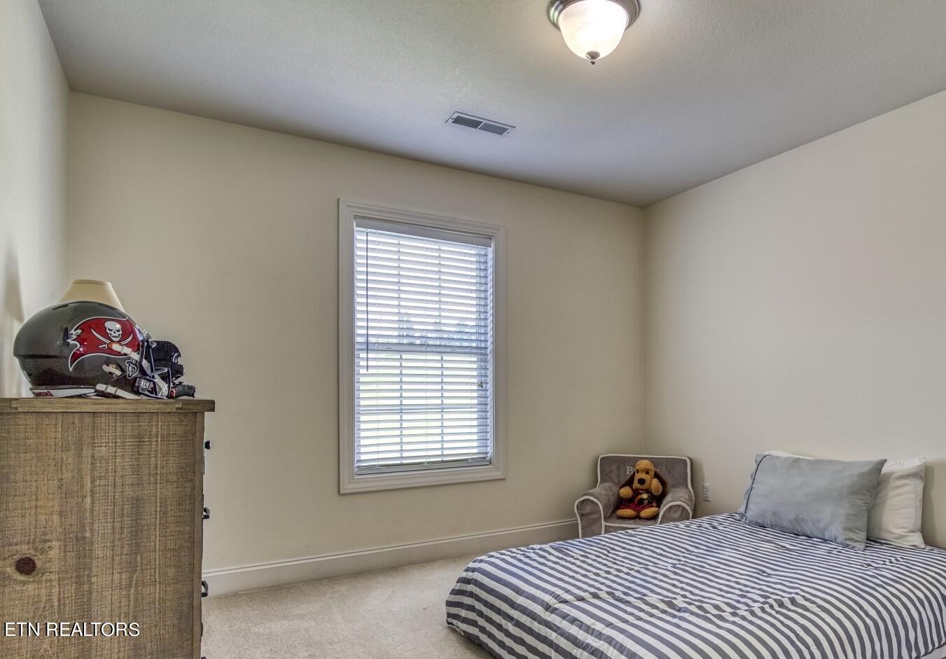 160 Raspberry Drive New Market, TN 37820 - Photo 31 of 46 1(36)