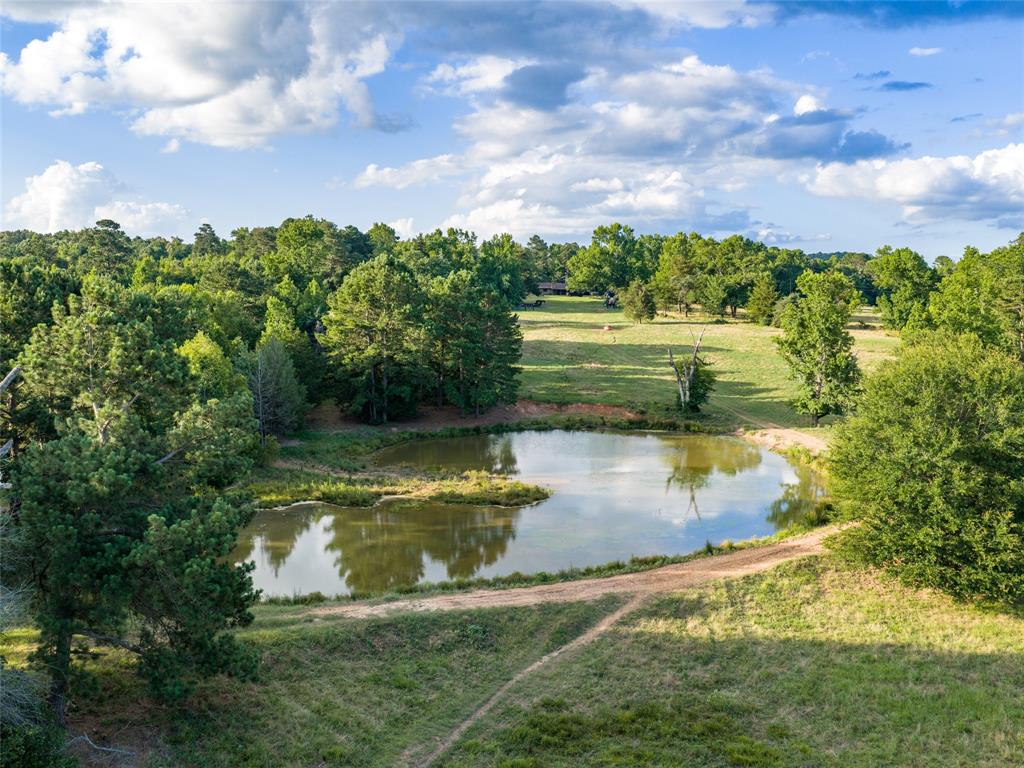 9822 Nasturtium Road Ore City, TX 75683 - Photo 6 of 30