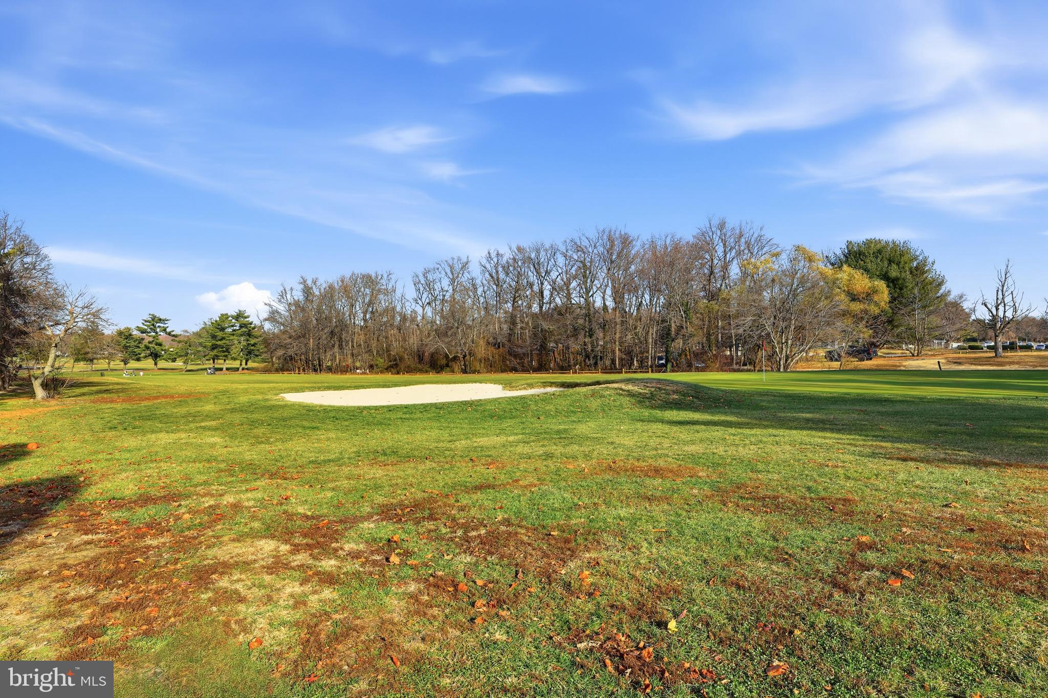 706 Augusta Circle Mount Laurel, NJ 08054 - Photo 30 of 31 a view of a field with an trees in the background