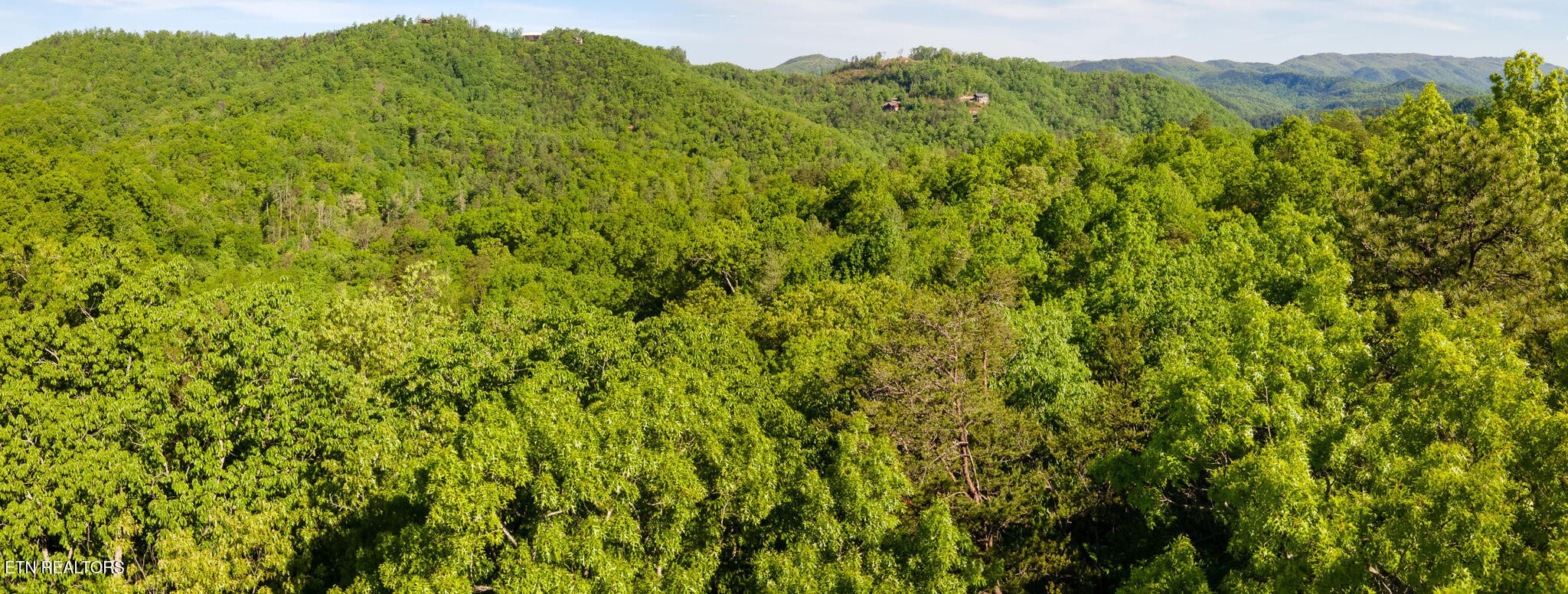 0 Lot 115 Whetstone Road Sevierville, TN 37862 - Photo 12 of 12 a view of a lush green forest with a mountain