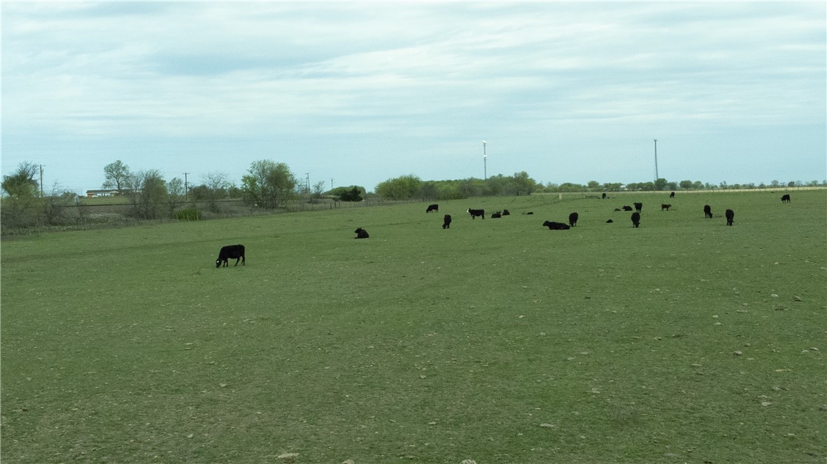 Tbd Old Perry Loop Riesel, TX 76682 - Photo 33 of 58