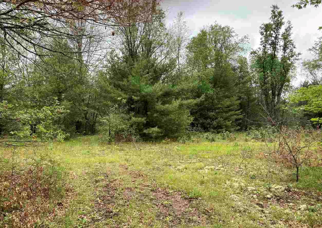 8 South Mile Road McBain, MI 49657 - Photo 1 of 5 1889755.JPG