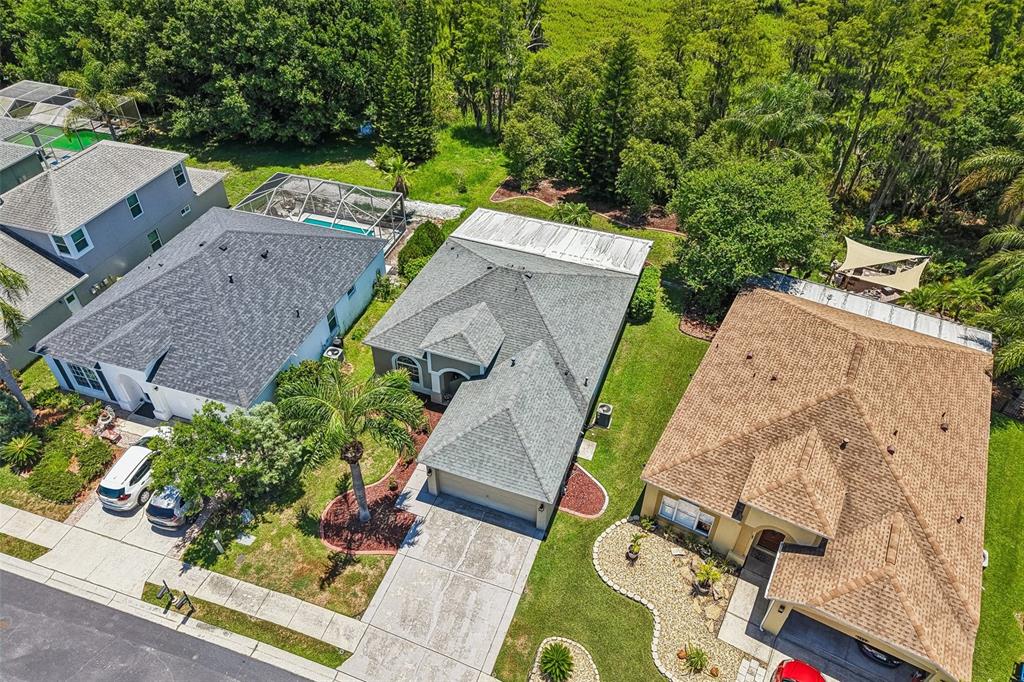 1628 Crossvine Court Trinity, FL 34655 - Photo 54 of 58