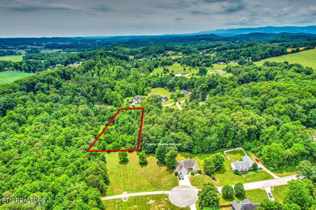 Stone Ridge Drive Andersonville, TN 37705 - Photo 12 of 19 84