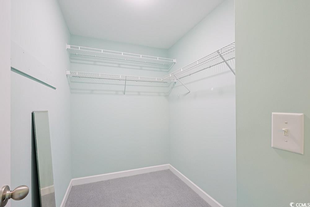 1036 Macala Drive Conway, SC 29527 - Photo 16 of 34 Walk in closet featuring light carpet