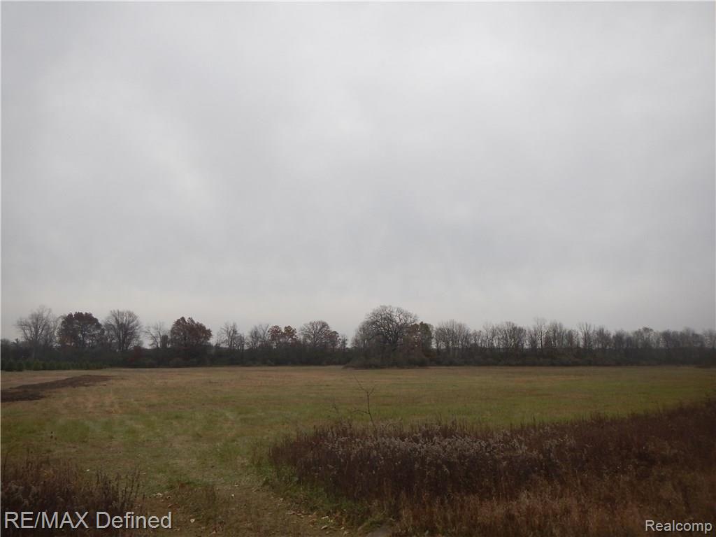 A-3 Metamora Road Metamora, MI 48455 - Photo 5 of 5