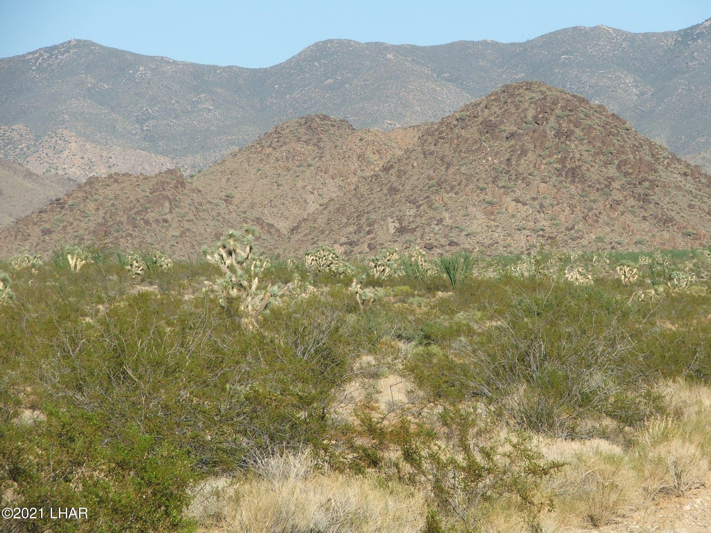 6-7 Allison Road Yucca, AZ 86438 - Photo 4 of 12 DSCF2053