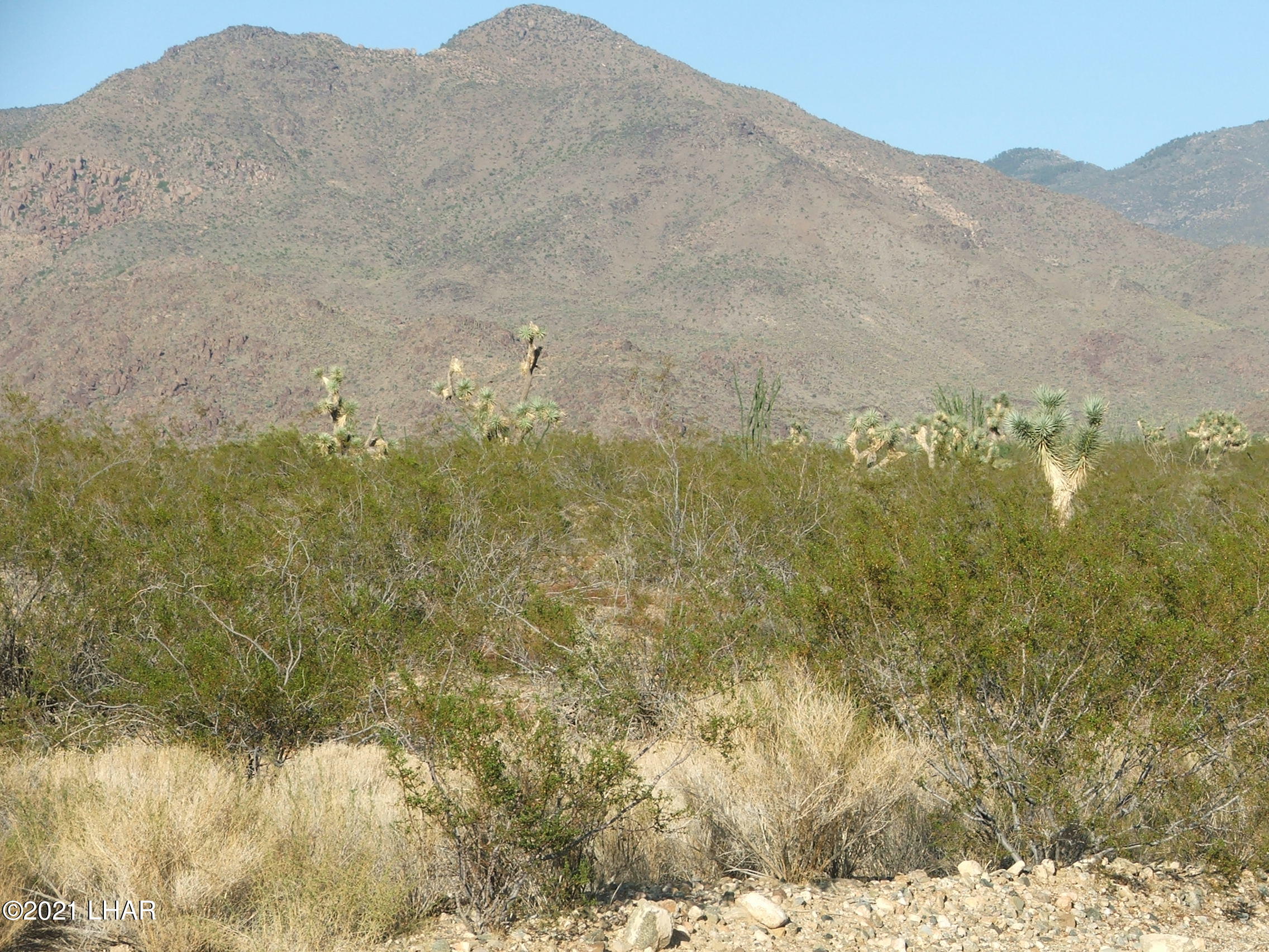 6-7 Allison Road Yucca, AZ 86438 - Photo 9 of 12 DSCF2054