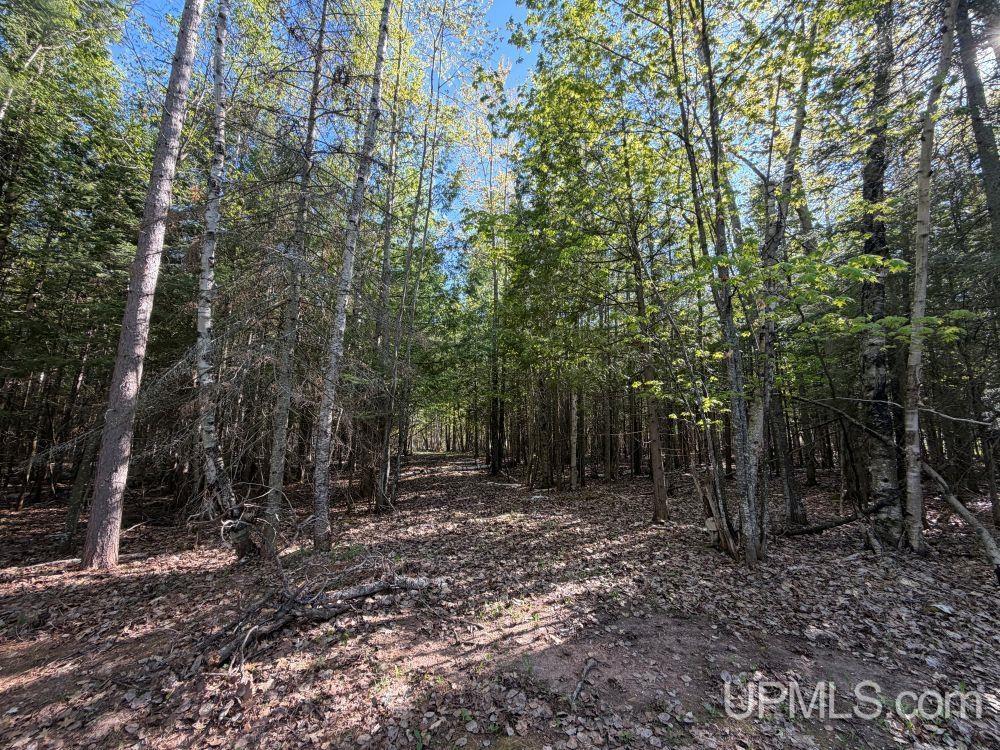 Off County Road KD Road Big Bay, MI 49808 - Photo 13 of 13