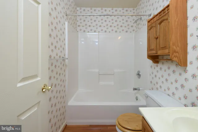 a bathroom with a toilet and a bathtub