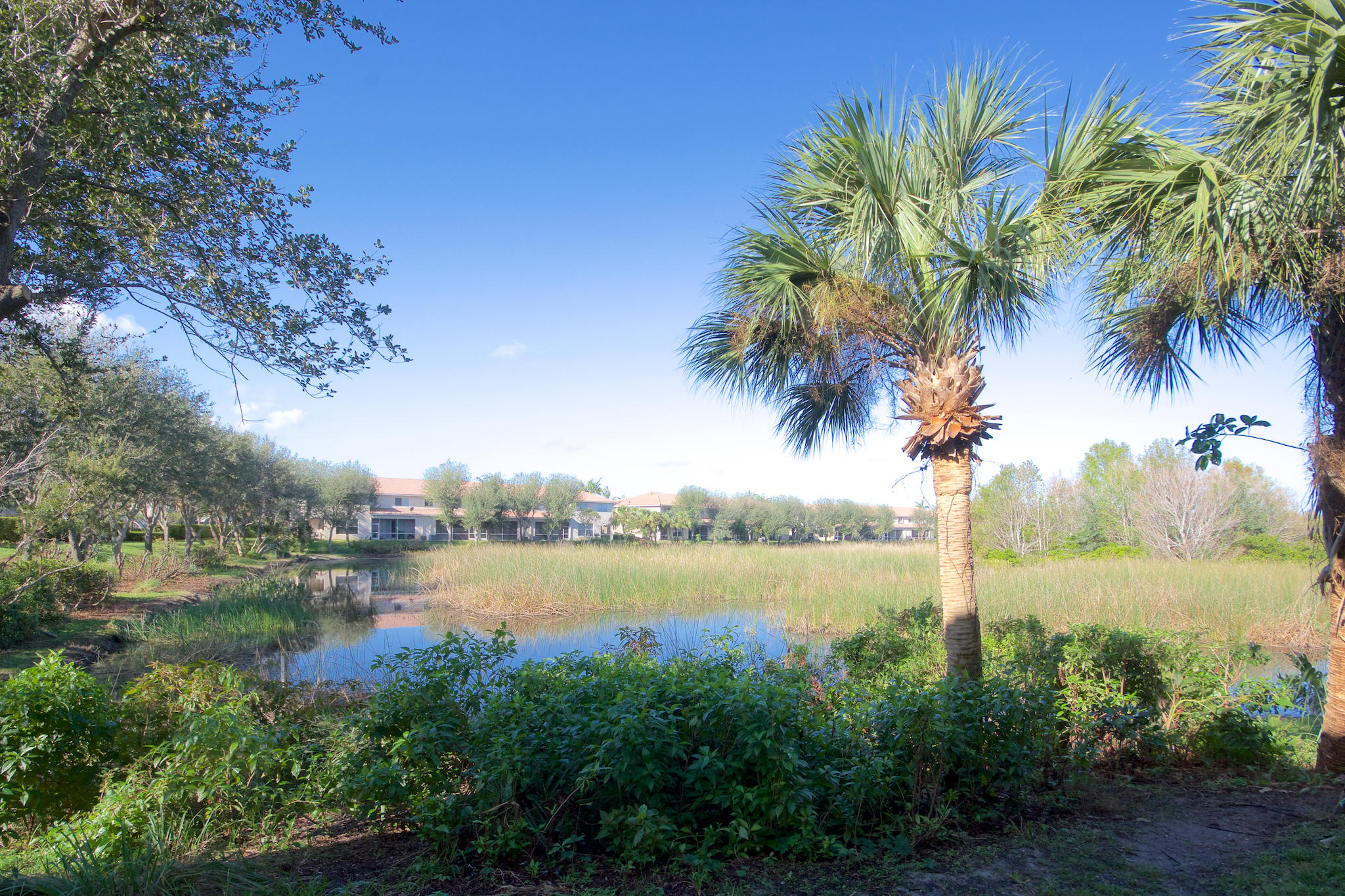 2382 Center Stone Lane Riviera Beach, FL 33404 - Photo 3 of 18 DSC_2474