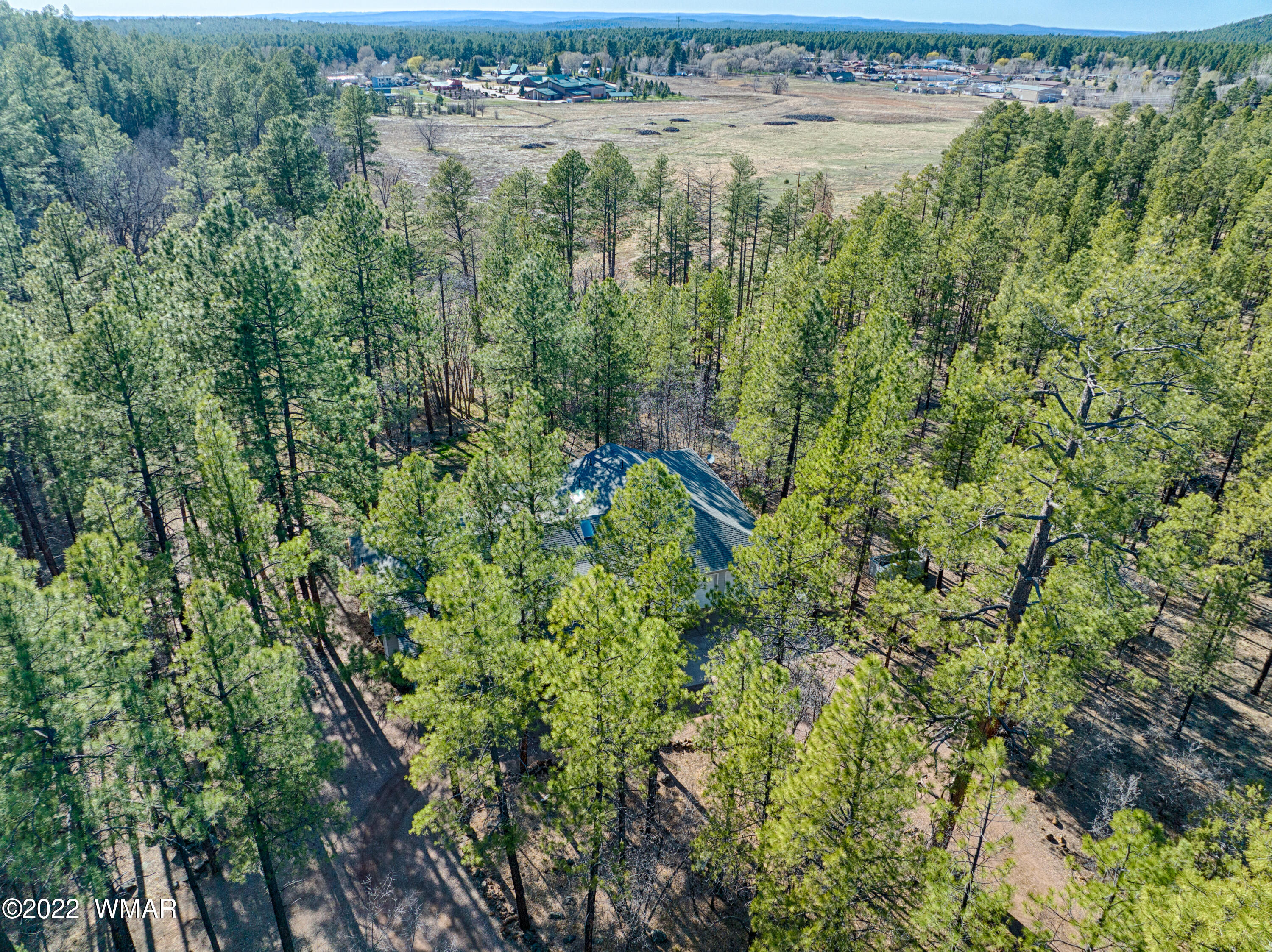 2198 Pine Lake Road Pinetop, AZ 85935 - Photo 2 of 29 Gallery Image 2