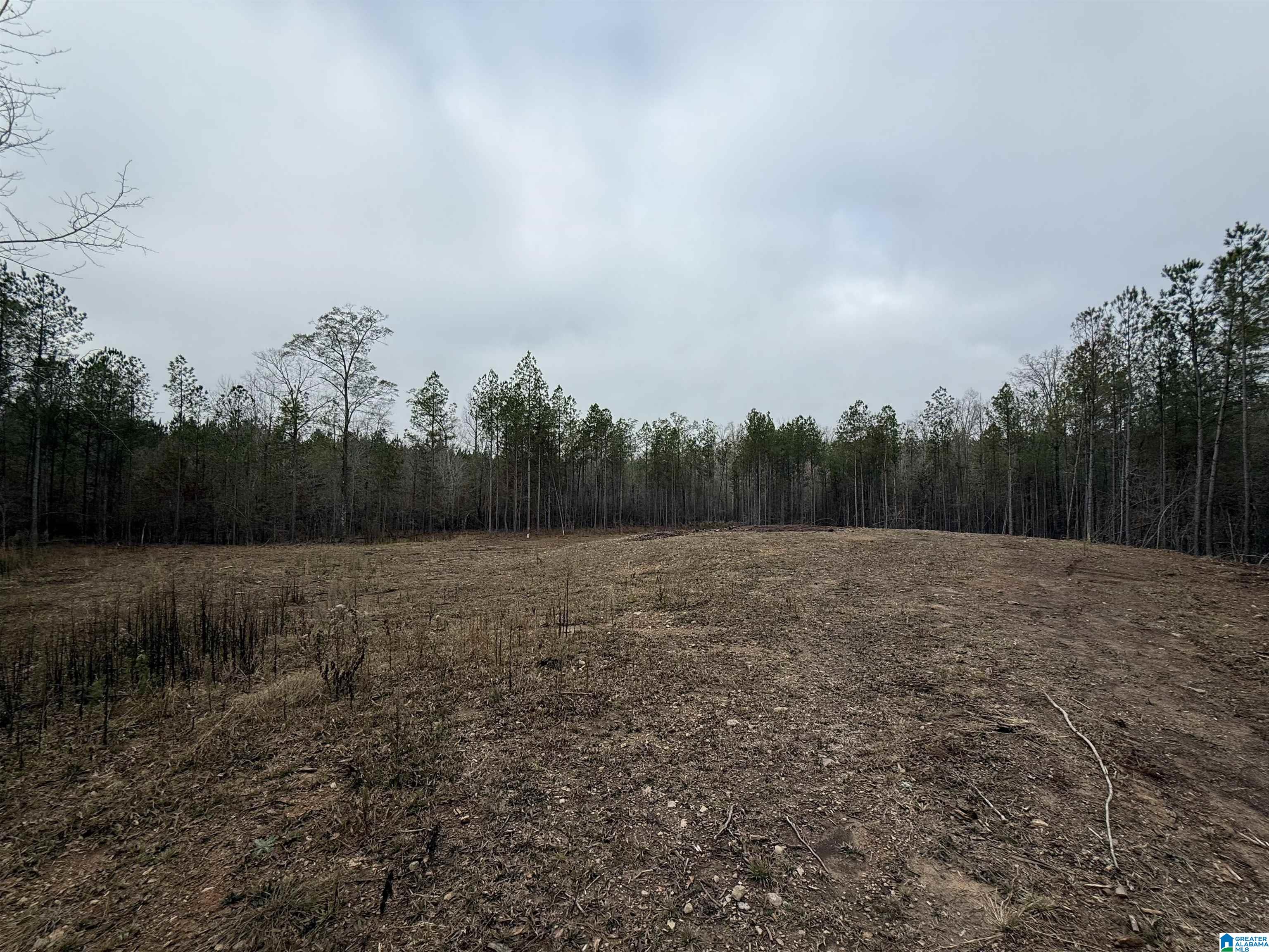 4637 Chelsea Road, Unit 18 Columbiana, AL 35051 - Photo 10 of 10 Gallery Image 10