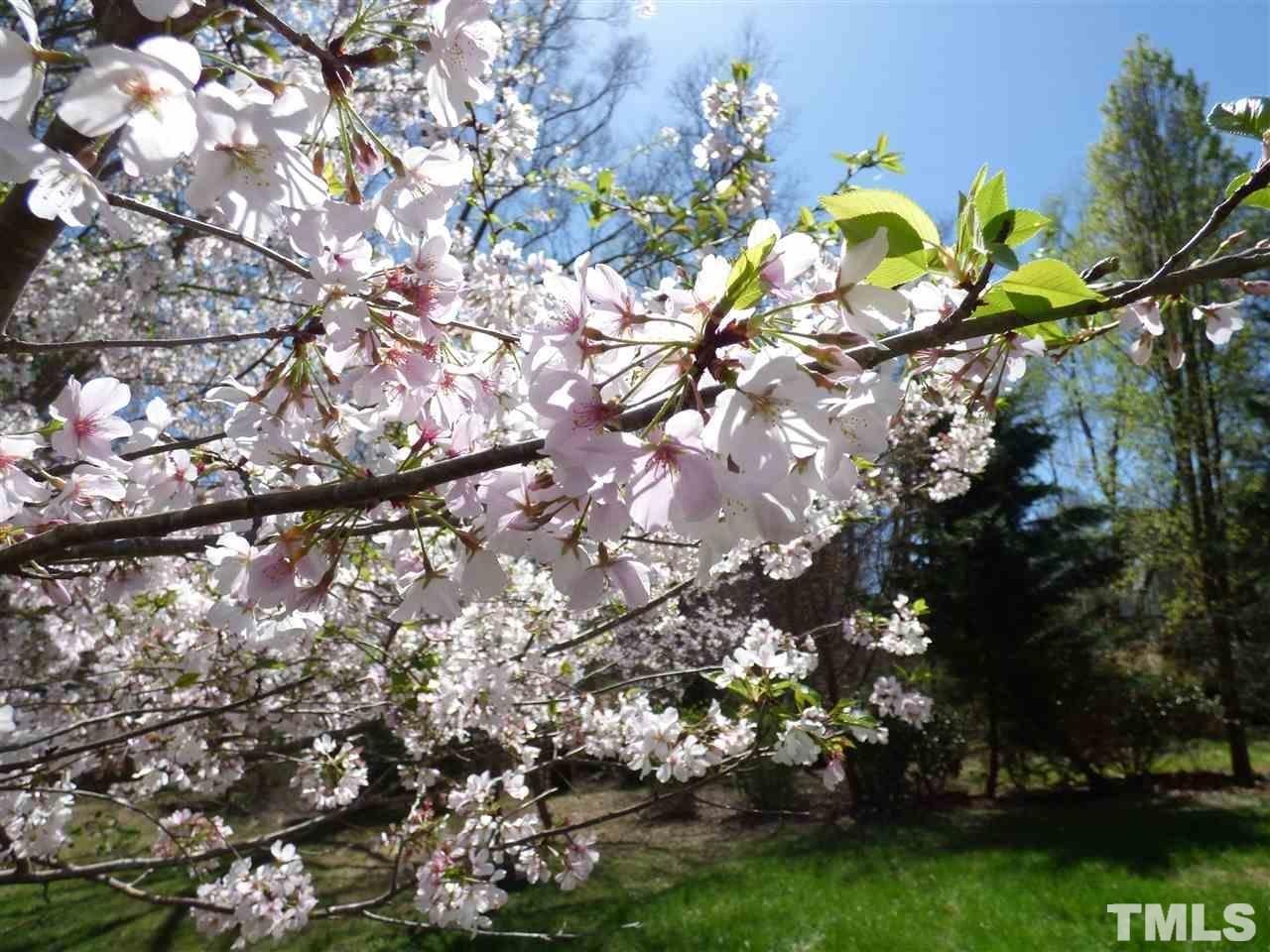 110 North Fields Circle Chapel Hill, NC 27516 - Photo 24 of 24