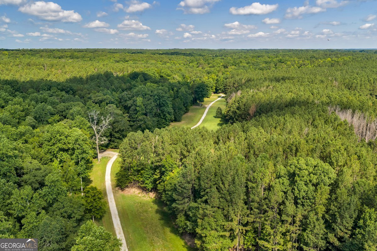 290 T W Leverette Road Jackson, GA 30233 - Photo 15 of 53 Gallery Image 15