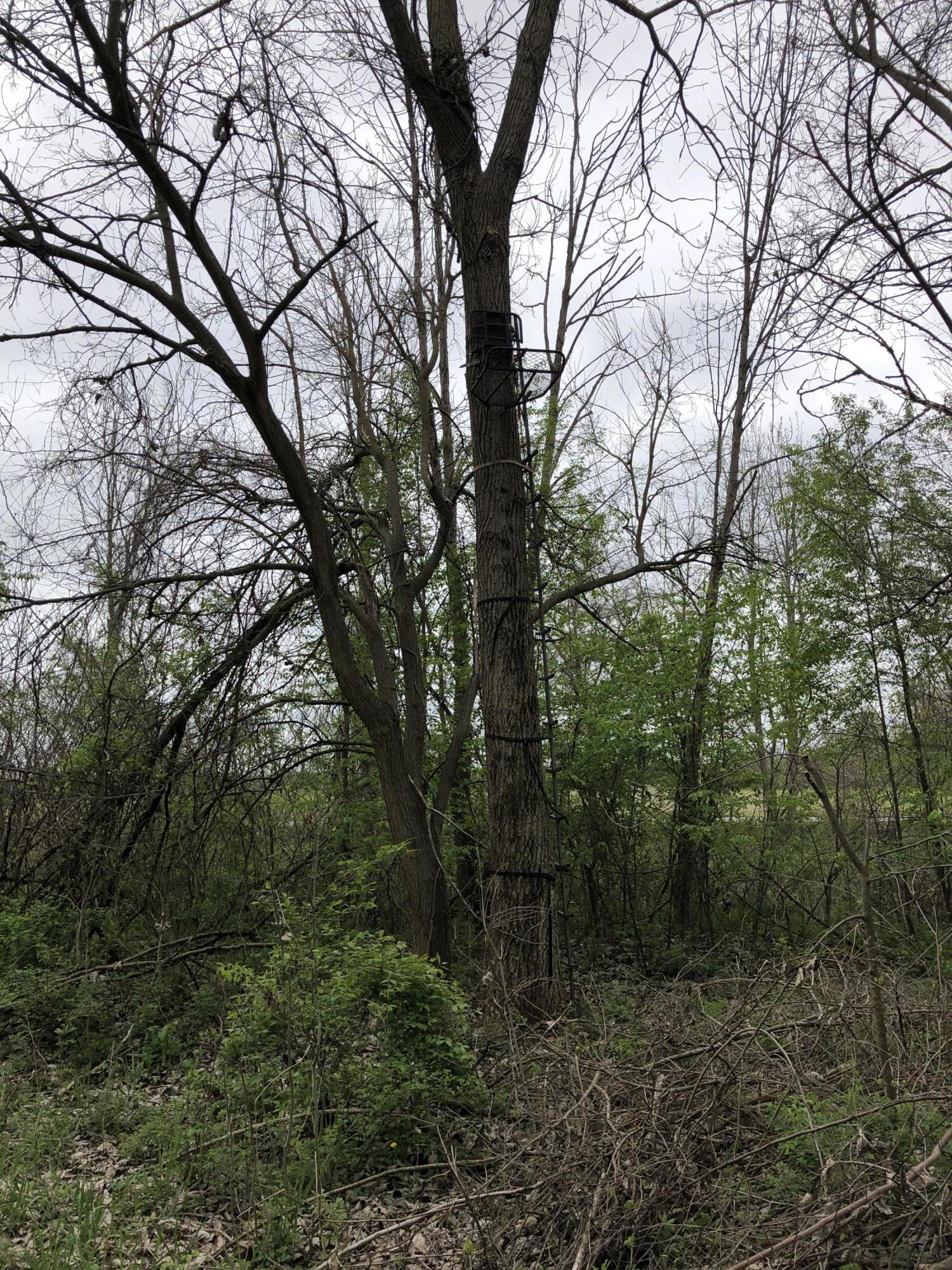 V/l Litchfield Road Quincy, MI 49082 - Photo 12 of 22 86173179-7AA0-4665-B183-8D58A935AA36