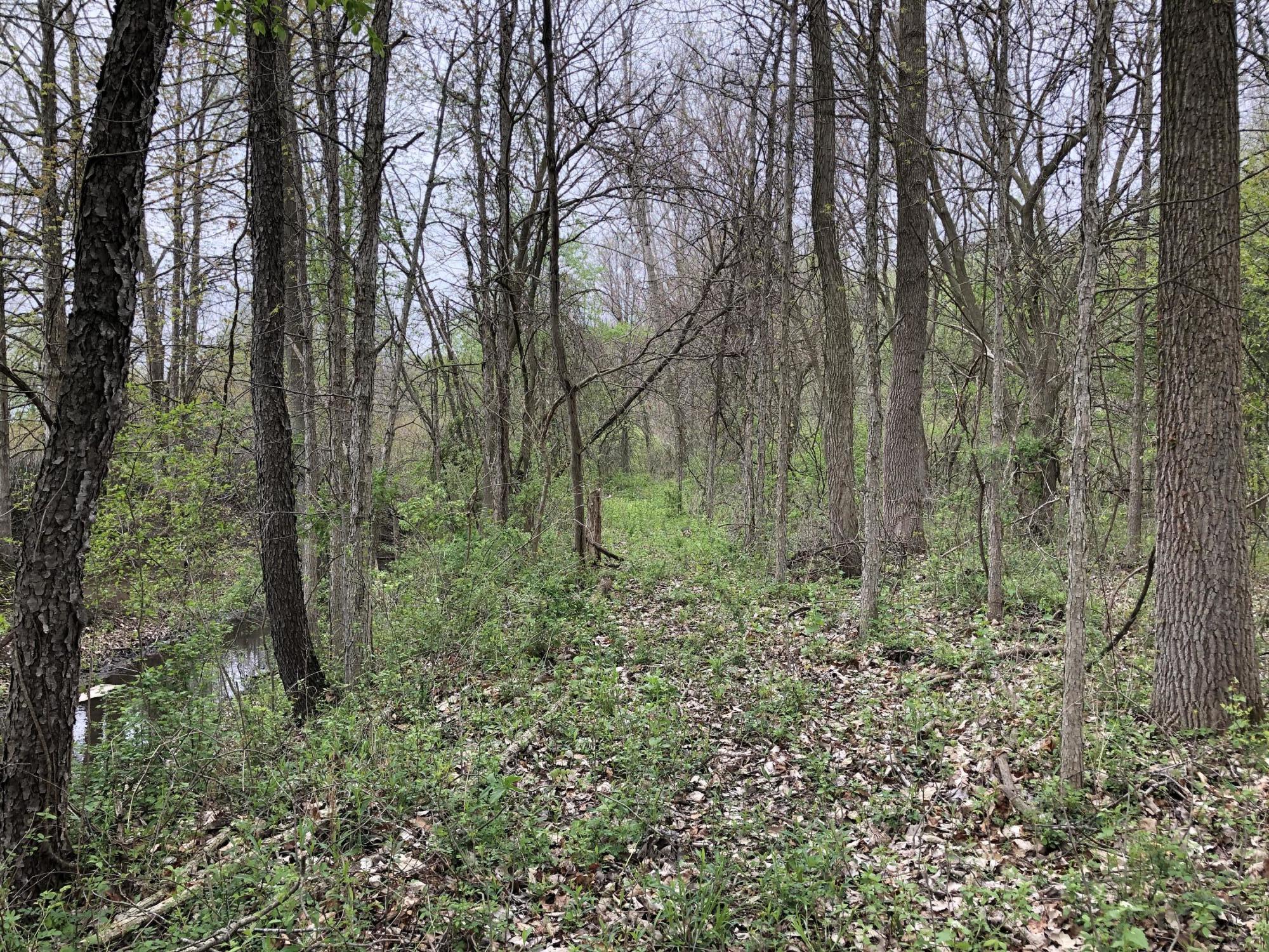 V/l Litchfield Road Quincy, MI 49082 - Photo 14 of 22 985ED327-CDD9-4CB6-97DA-B8C9E6E2C9AF