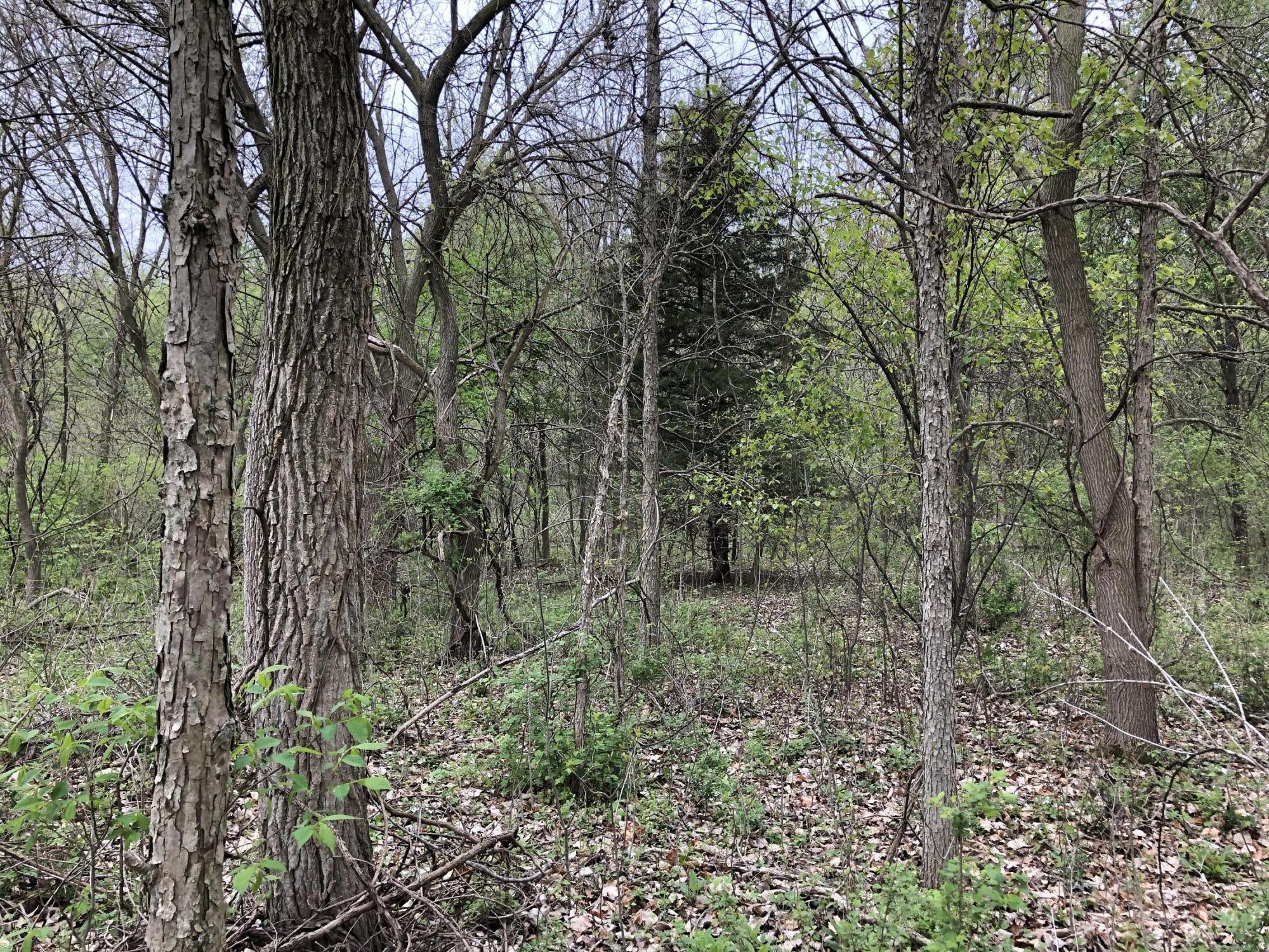 V/l Litchfield Road Quincy, MI 49082 - Photo 15 of 22 54DE4968-B81A-467D-9139-974FE937A5F2
