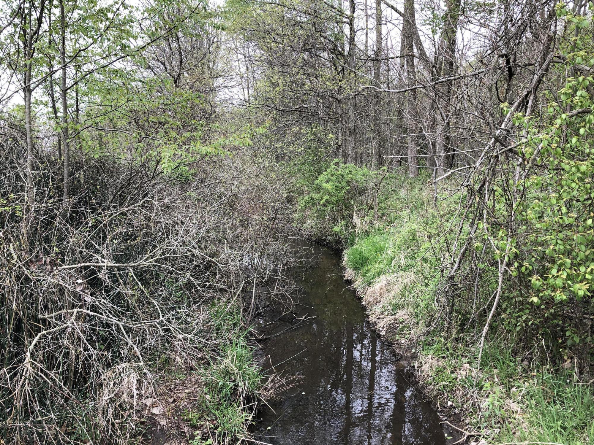 V/l Litchfield Road Quincy, MI 49082 - Photo 19 of 22 E64A2BE3-F73D-4DAB-A1F1-F2D5DA7E014B