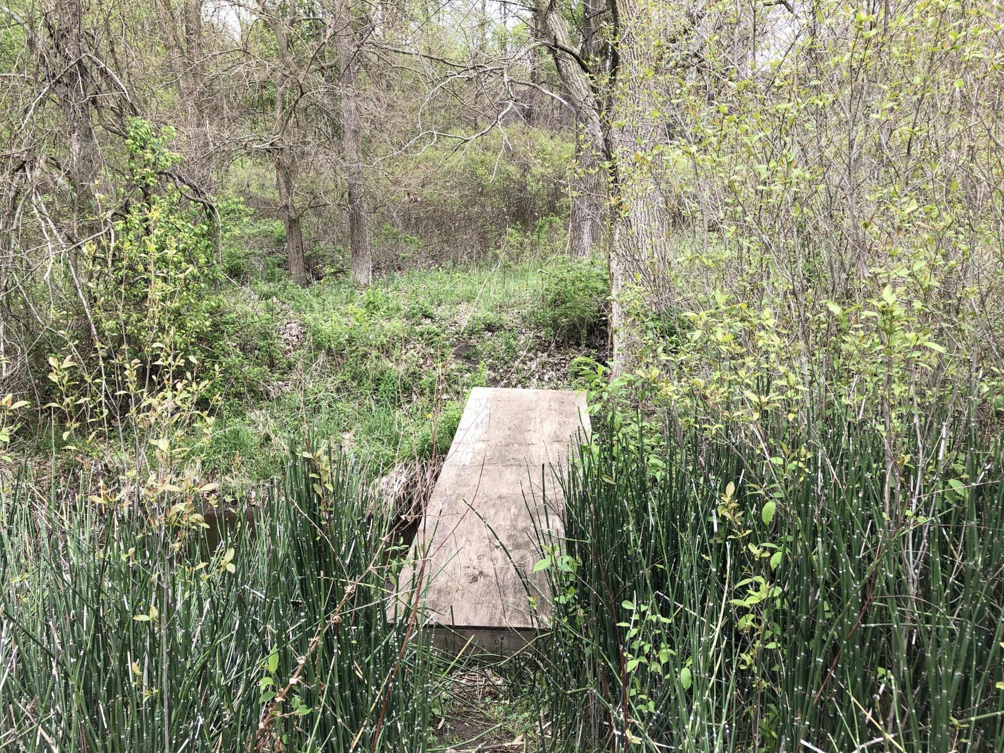 V/l Litchfield Road Quincy, MI 49082 - Photo 20 of 22 3E4AA927-1B7C-4513-970E-9A43D610FFF1