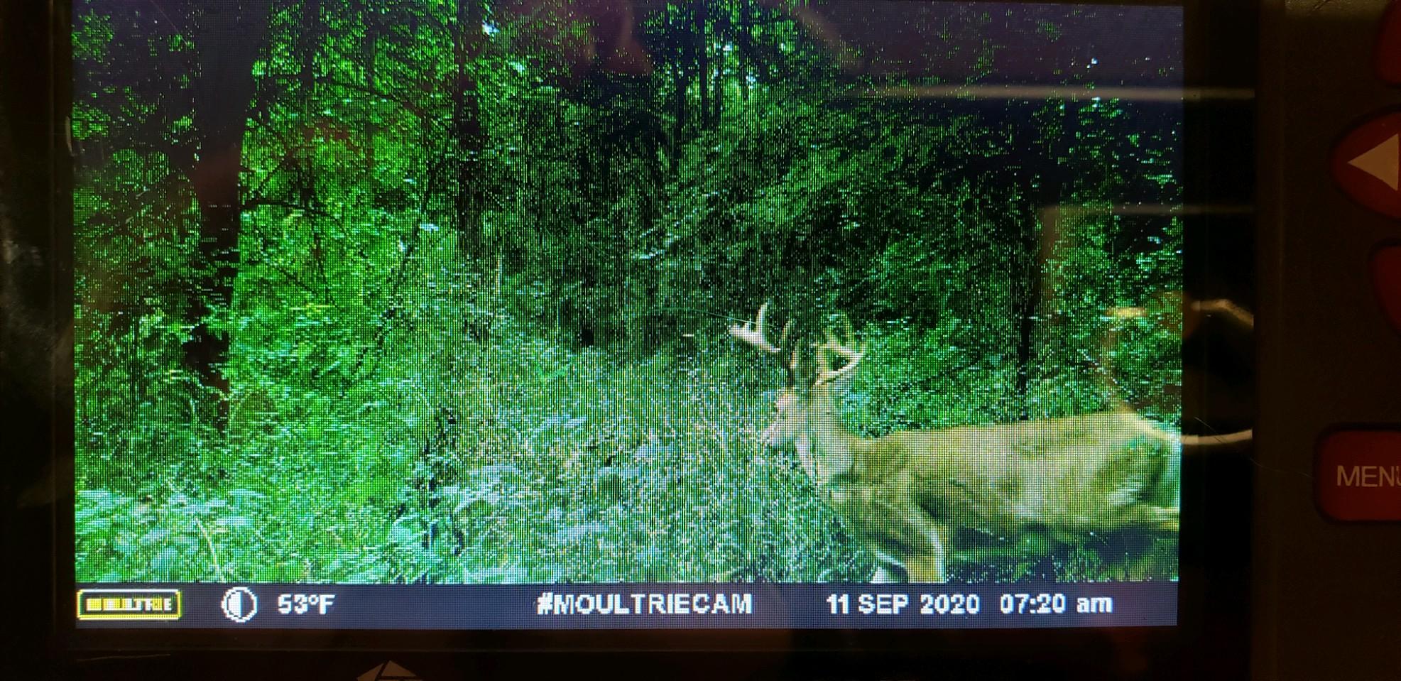 V/l Litchfield Road Quincy, MI 49082 - Photo 2 of 22 A54DD4FB-AAA9-4C39-809C-12FA0CDAE6B2