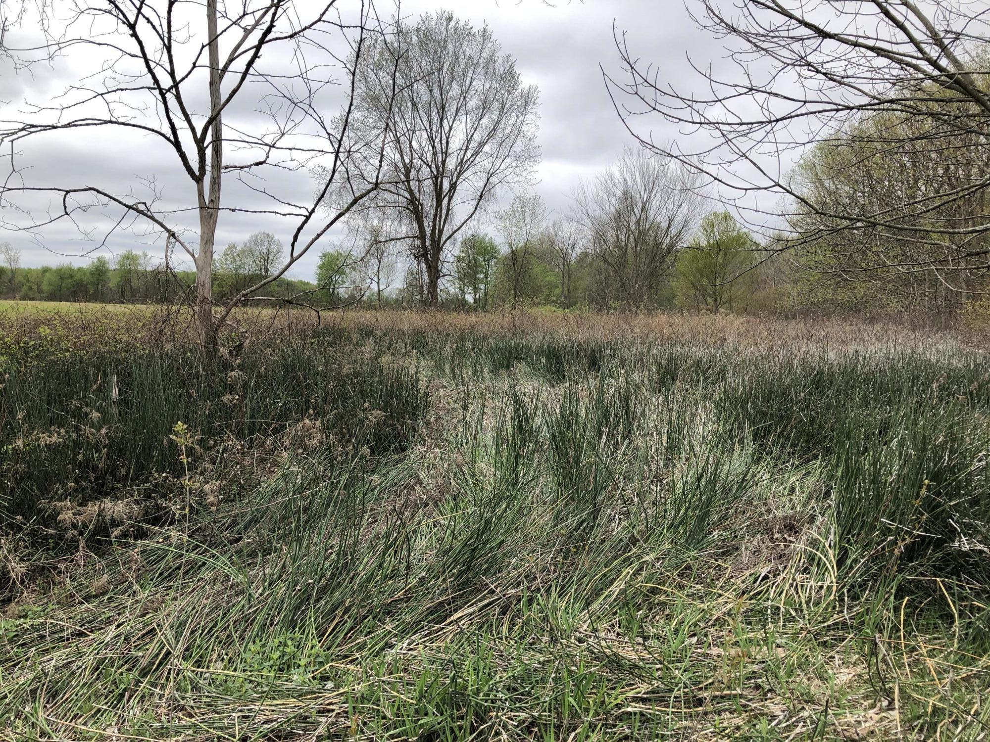 V/l Litchfield Road Quincy, MI 49082 - Photo 21 of 22 FC8C9337-6247-4A96-AF4B-5FDF8061AE89