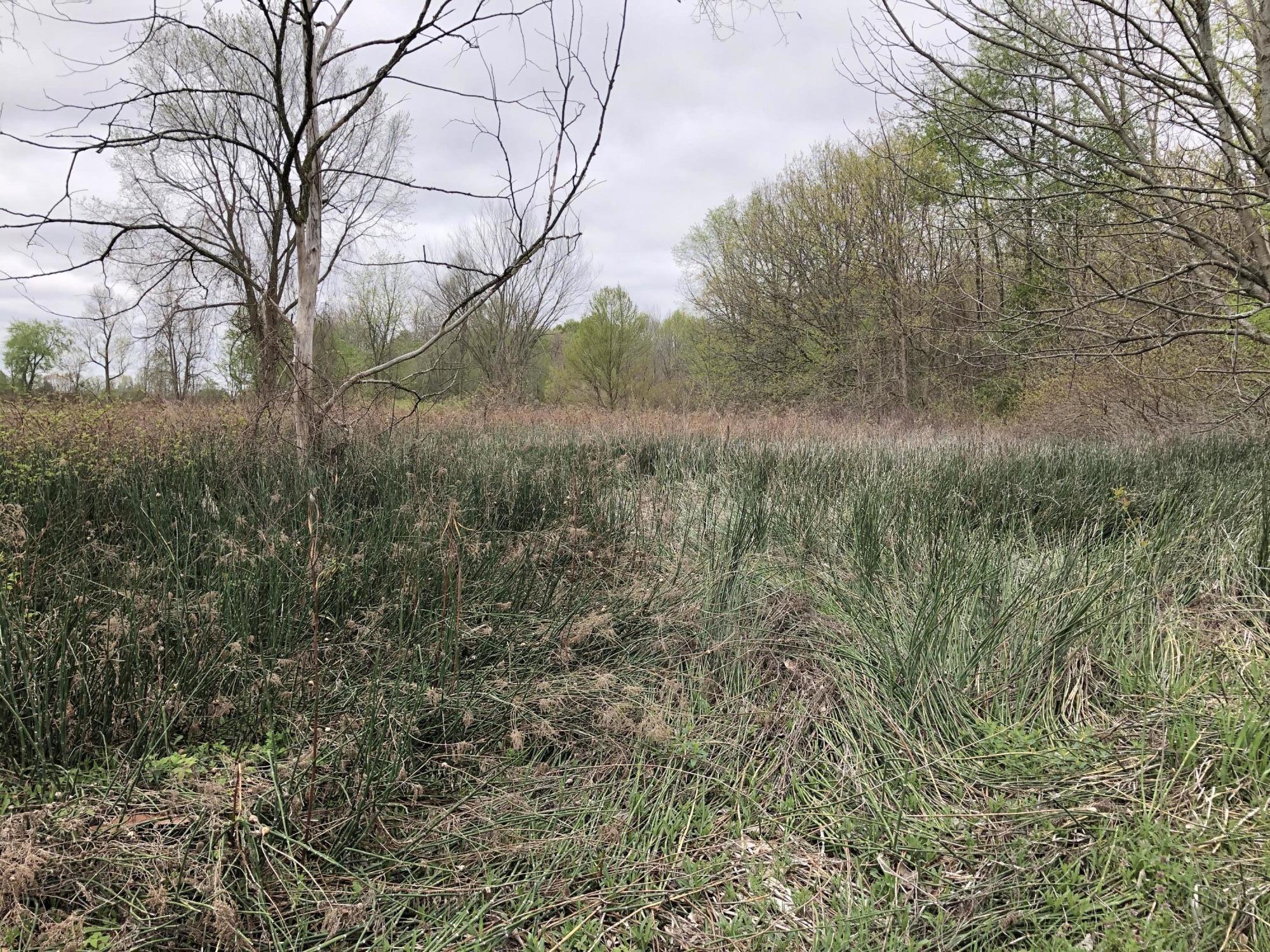 V/l Litchfield Road Quincy, MI 49082 - Photo 22 of 22 38F178B6-9CA0-4DEC-8648-7D87B5DD19F1