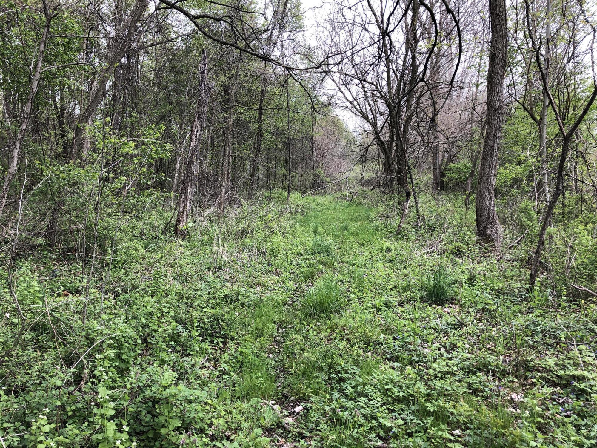 V/l Litchfield Road Quincy, MI 49082 - Photo 10 of 22 E6E6712E-E251-44A8-9C77-1AEB5FBEB1CC