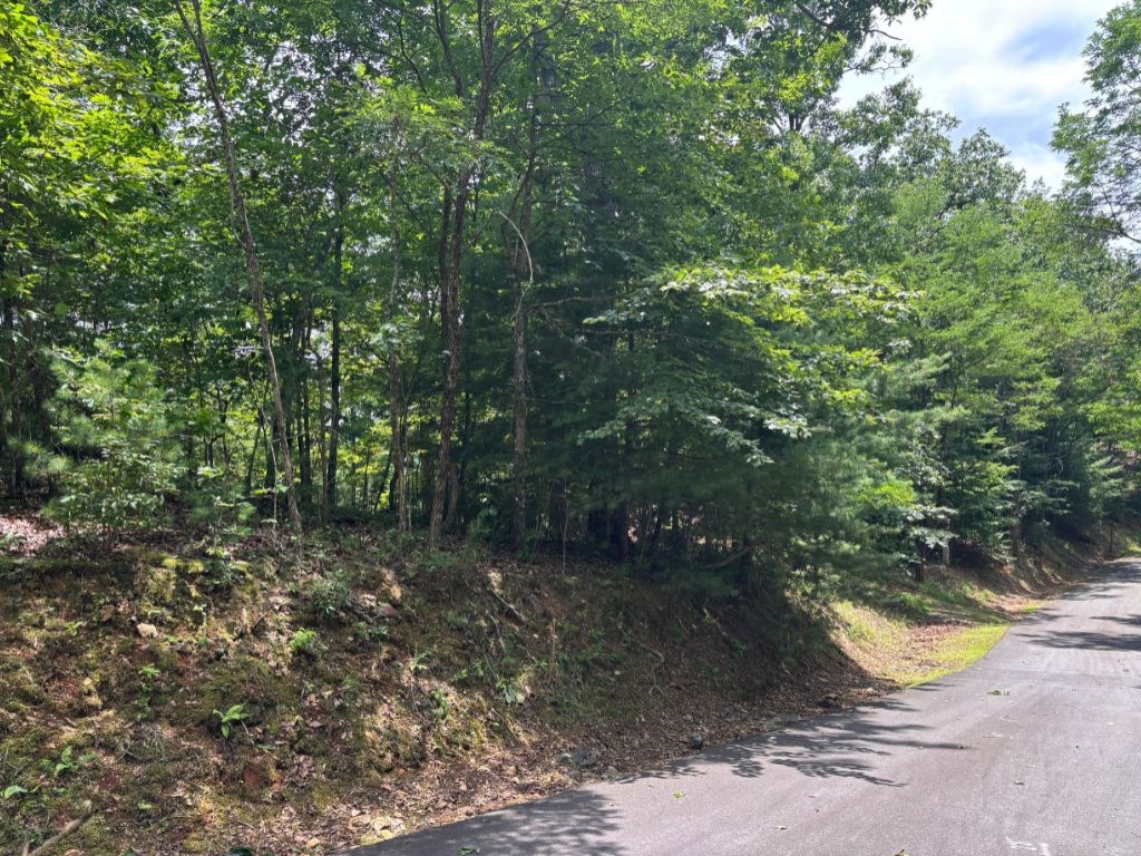 Lot 46 Mission Ridge Hayesville, NC 28904 - Photo 10 of 15