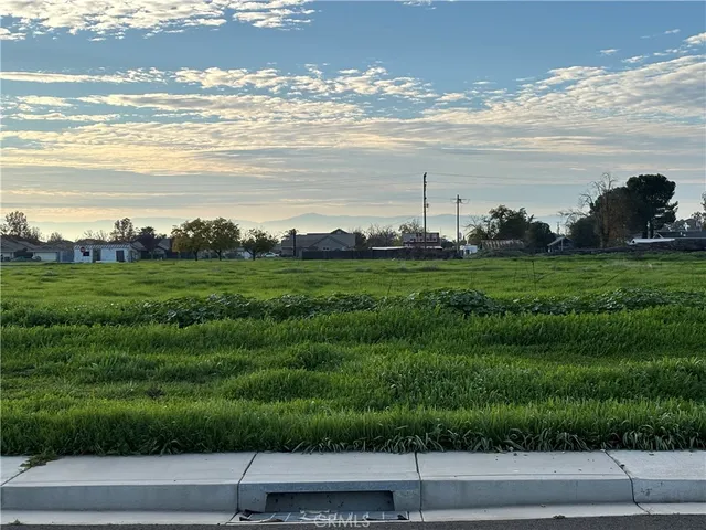 a view of a grassy field with an trees