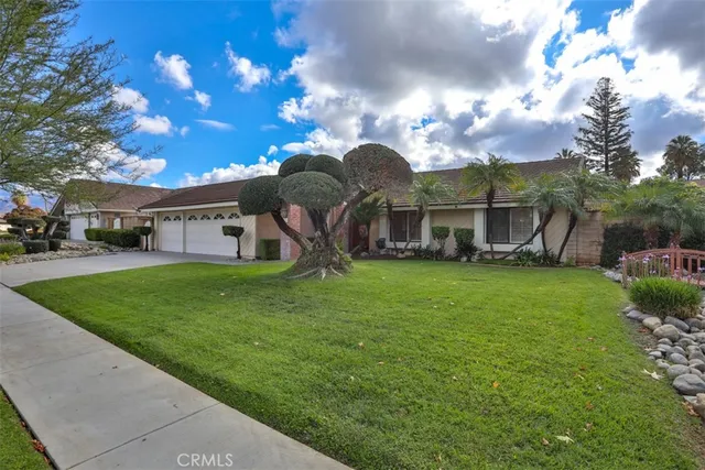 a view of a house with a big yard plants and large trees
