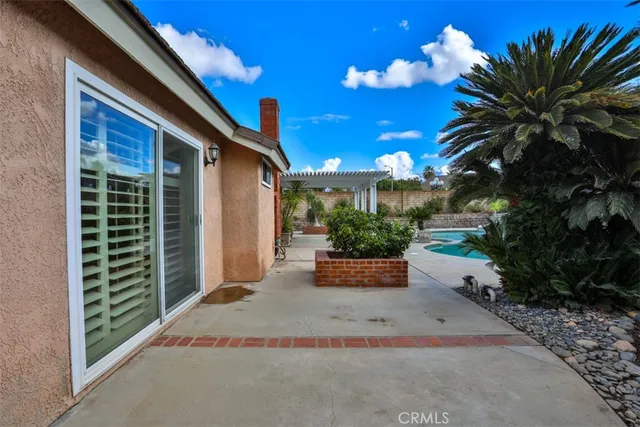 a view of a yard with plants and trees