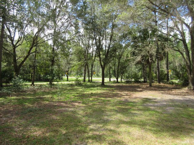 3340 Johnson Stripling Road Perry, FL 32347 - Photo 3 of 32