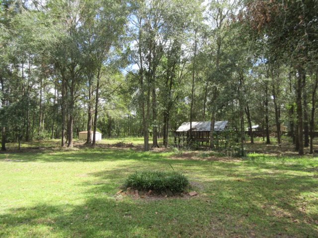 3340 Johnson Stripling Road Perry, FL 32347 - Photo 4 of 32
