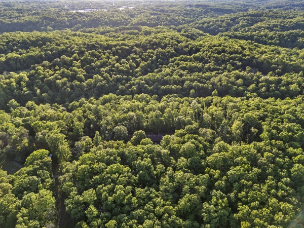 780 Waters Road Centerville, TN 37033 - Photo 45 of 50