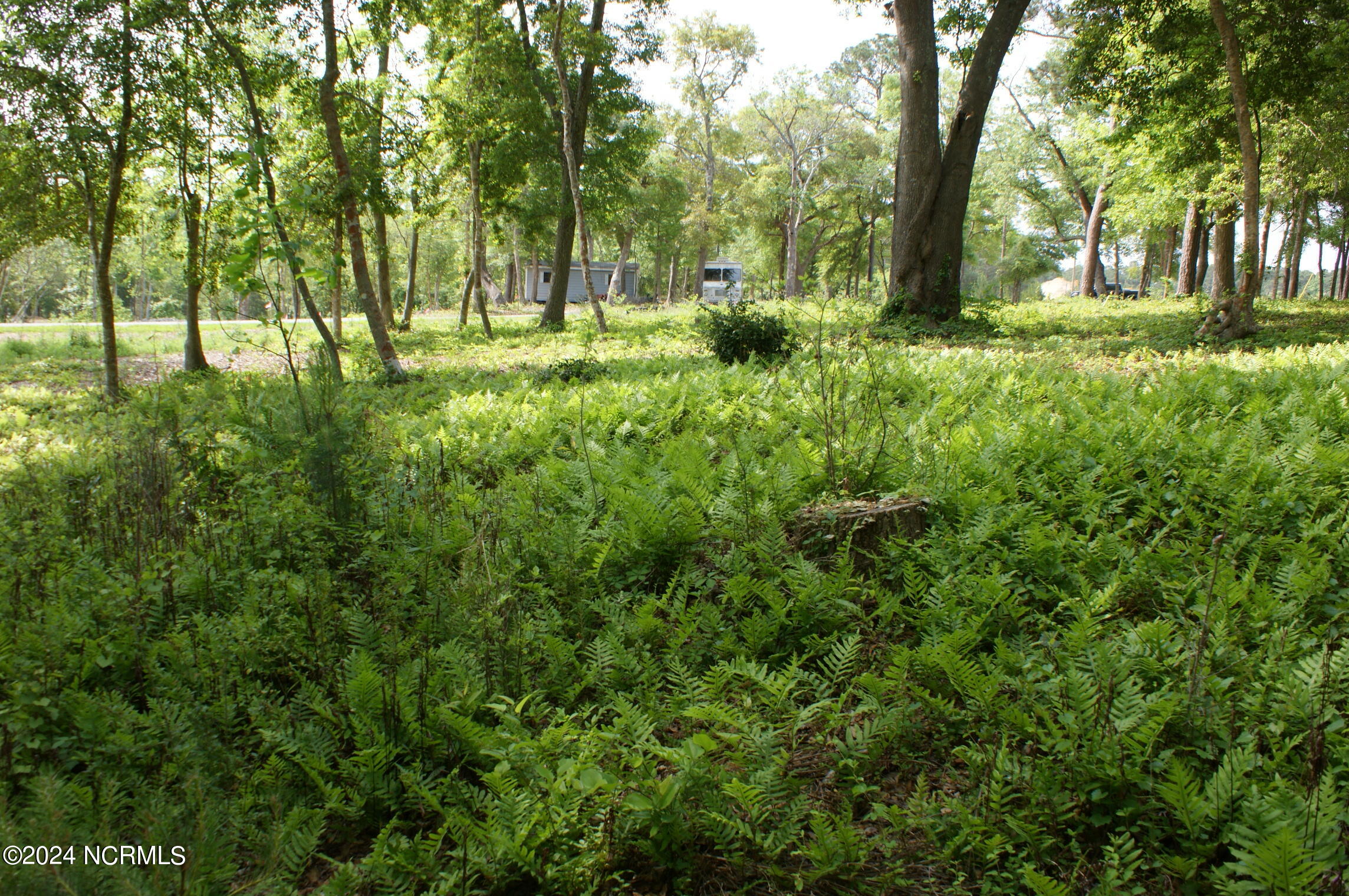 466 Vfw Road Cedar Point, NC 28584 - Photo 3 of 6 Lot 1 looking @ lot 2