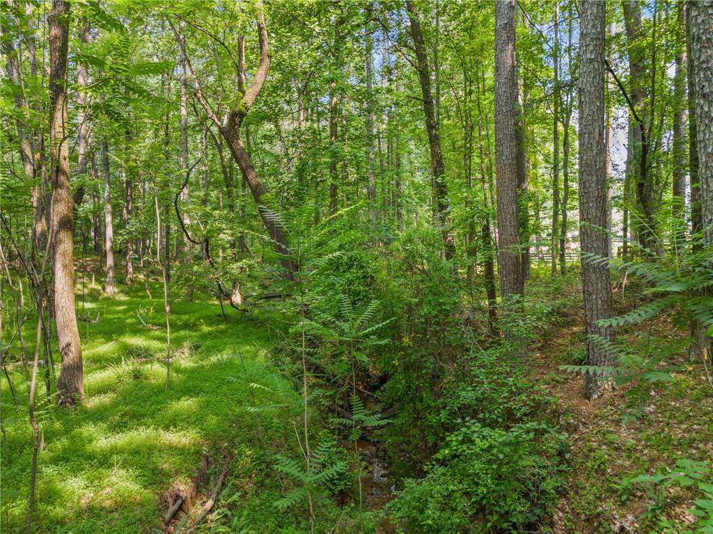 235 Brock Trail Milton, GA 30004 - Photo 21 of 31 a view of a lush green forest