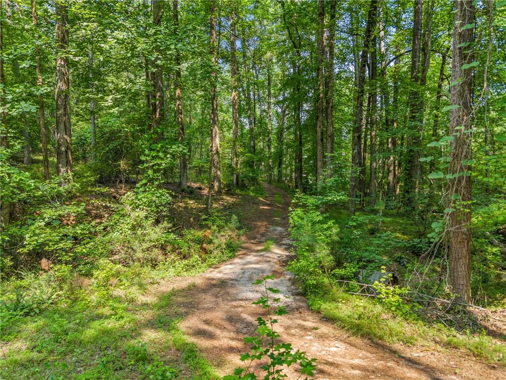 235 Brock Trail Milton, GA 30004 - Photo 22 of 31 a close up of a plant in a garden