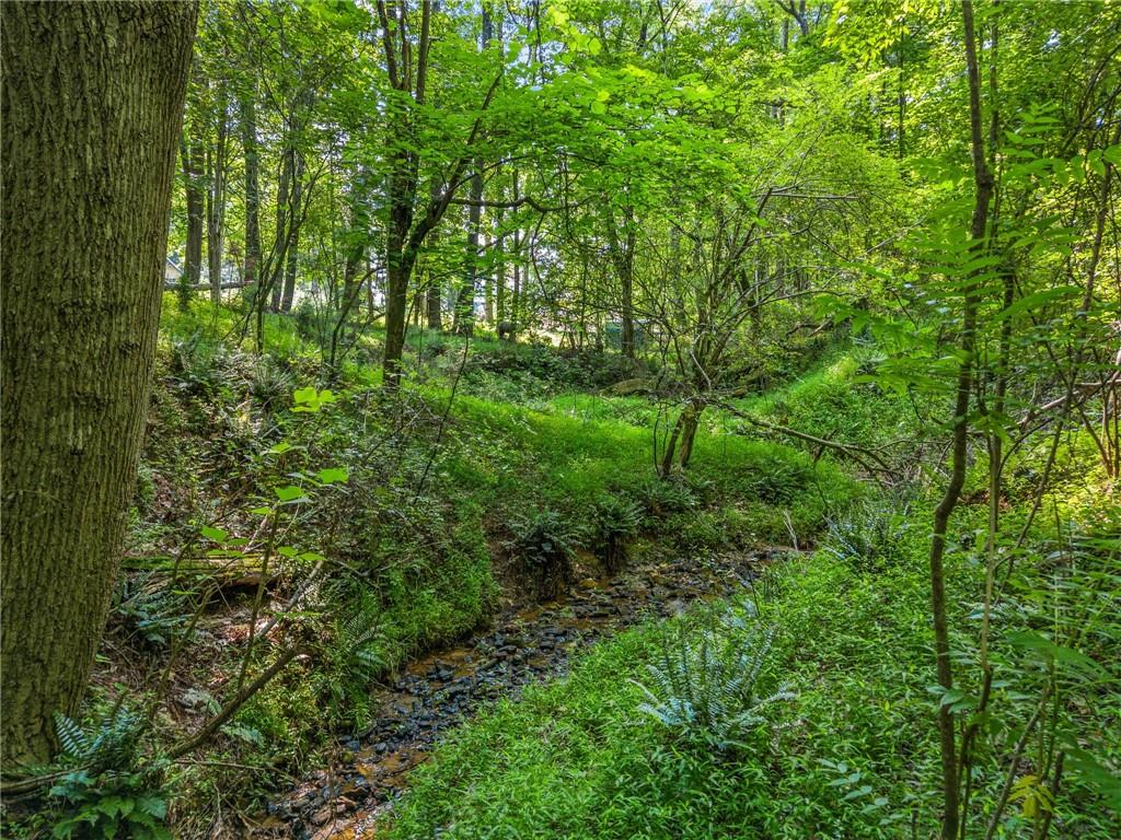 235 Brock Trail Milton, GA 30004 - Photo 31 of 31 a view of a lush green forest