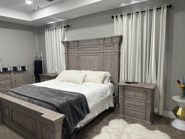 351 Mesa Ridge Decatur, TX 76234 - Photo 11 of 29 View of carpeted bedroom