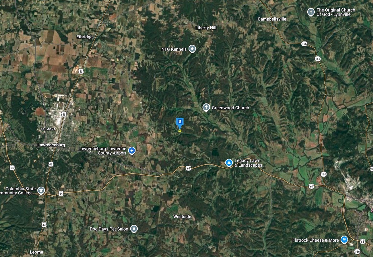 2275 Gimlet Creek Road Lawrenceburg, TN 38464 - Photo 3 of 4 a view of a tree