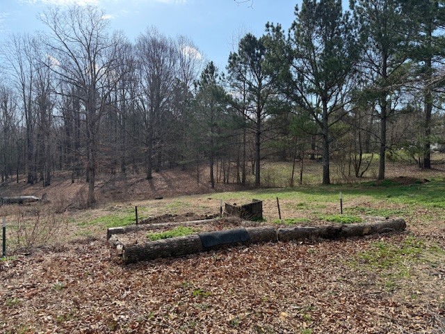 60 Robert Barnhill Road Paris, TN 38242 - Photo 32 of 35